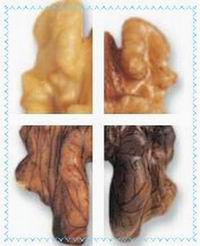 walnut_colors